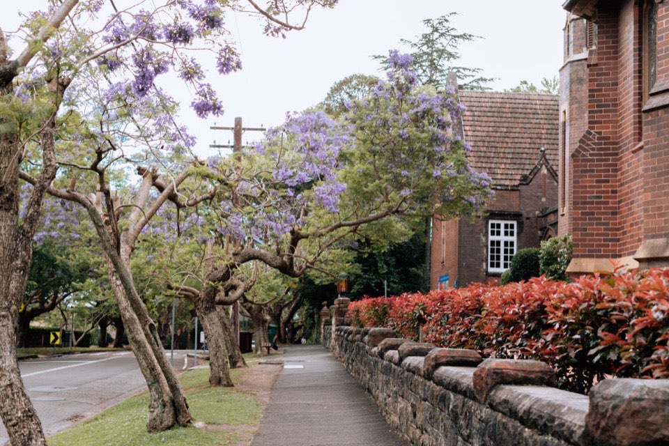 Wahroonga: the upper north shore suburb luring families away from the city